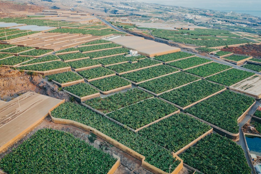 Vista aérea de cultivos; contexto agroindustrial de referencia.